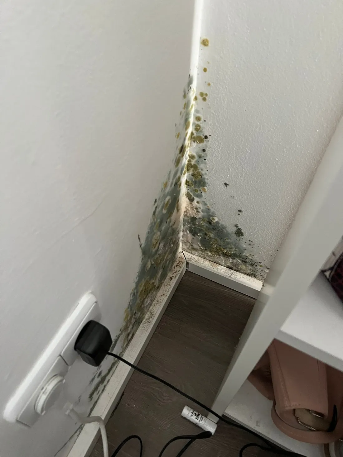 Fachgutachten in Hirschaid