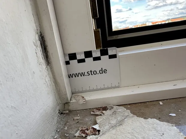 Schimmelbegutachtung in Bamberg